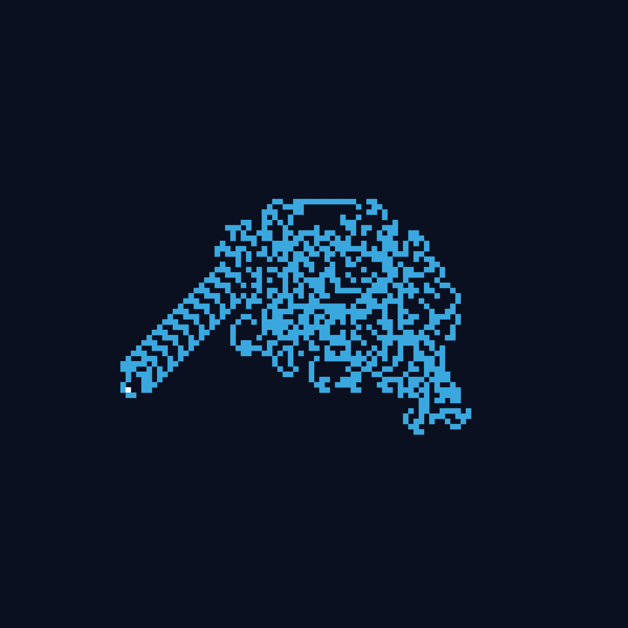Langton's Ant example output